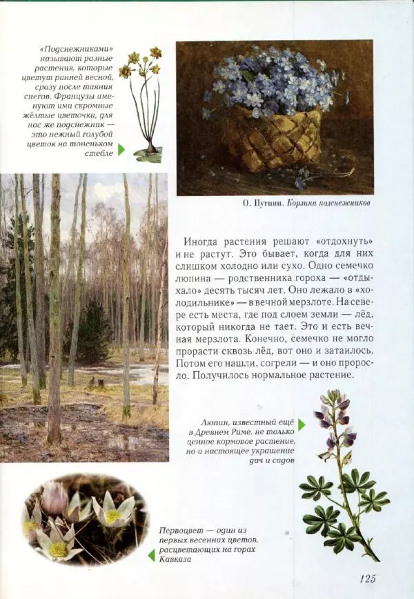 Светлана Лаврова - Занимательная ботаника для малышей - Страница № 128