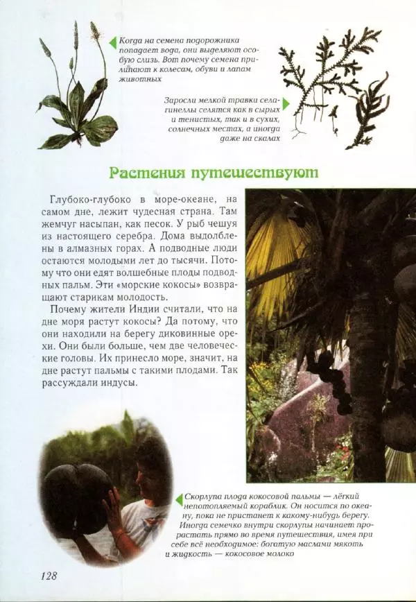Светлана Лаврова - Занимательная ботаника для малышей - Страница № 131