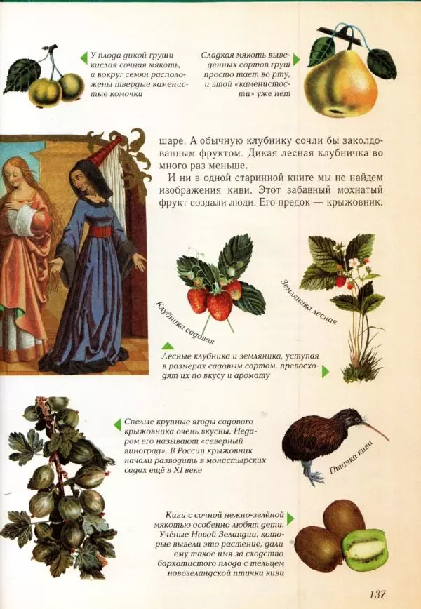 Светлана Лаврова - Занимательная ботаника для малышей - Страница № 140