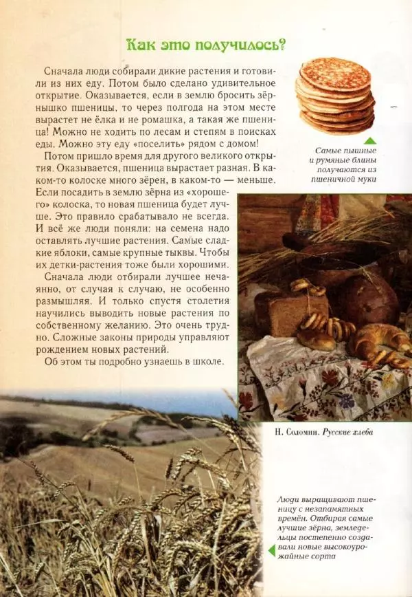 Светлана Лаврова - Занимательная ботаника для малышей - Страница № 141