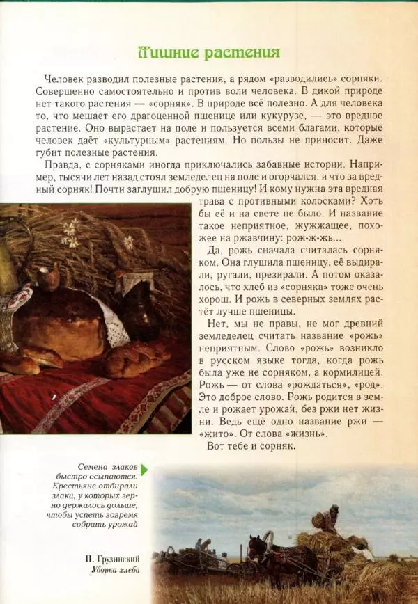 Светлана Лаврова - Занимательная ботаника для малышей - Страница № 142