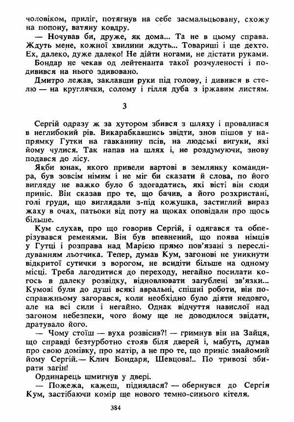 Анатолий Хорунжий - Вибрані твори - Страница № 384