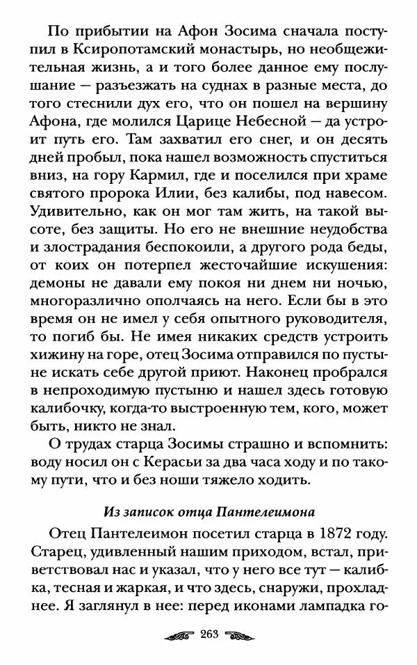 иеромонах Антоний Святогорец - Жизнеописания афонских подвижников благочестия XIX века - Страница № 265