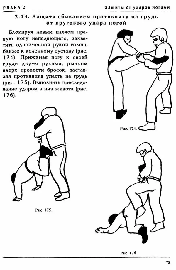 Валерий Волостных - Энциклопедия боевого самбо. Том 1 - Страница № 75