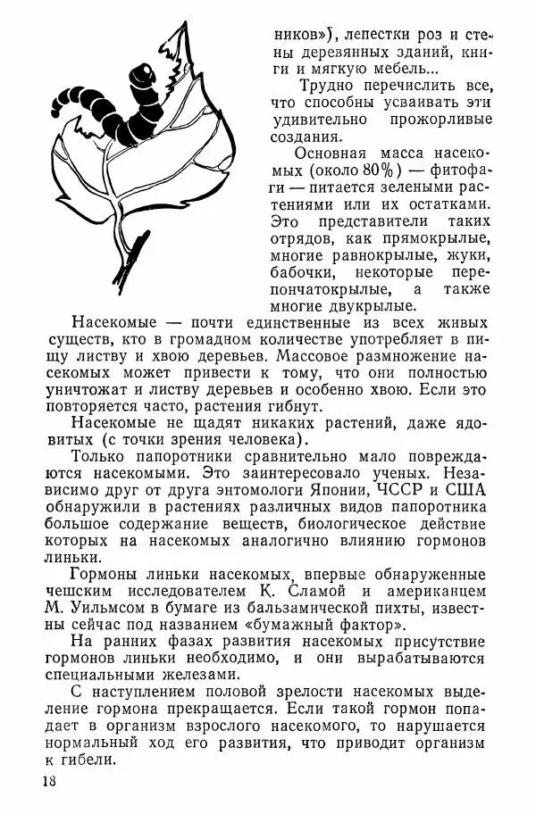 Александр Злотин - Занимательная энтомология - Страница № 19