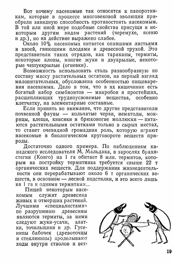 Александр Злотин - Занимательная энтомология - Страница № 20