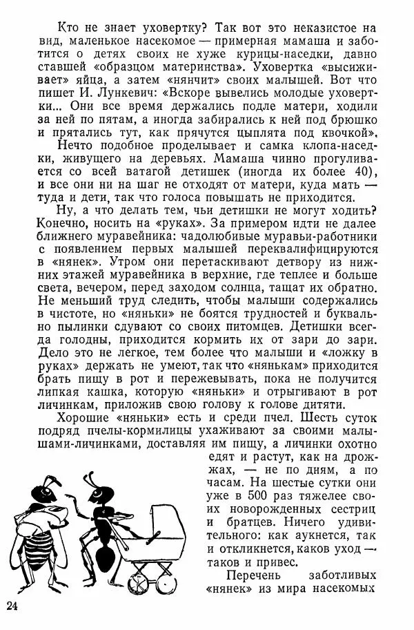 Александр Злотин - Занимательная энтомология - Страница № 25