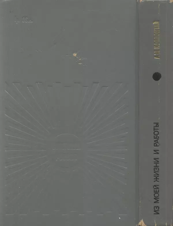 Александра Коллонтай - Из моей жизни и работы - Страница № 445