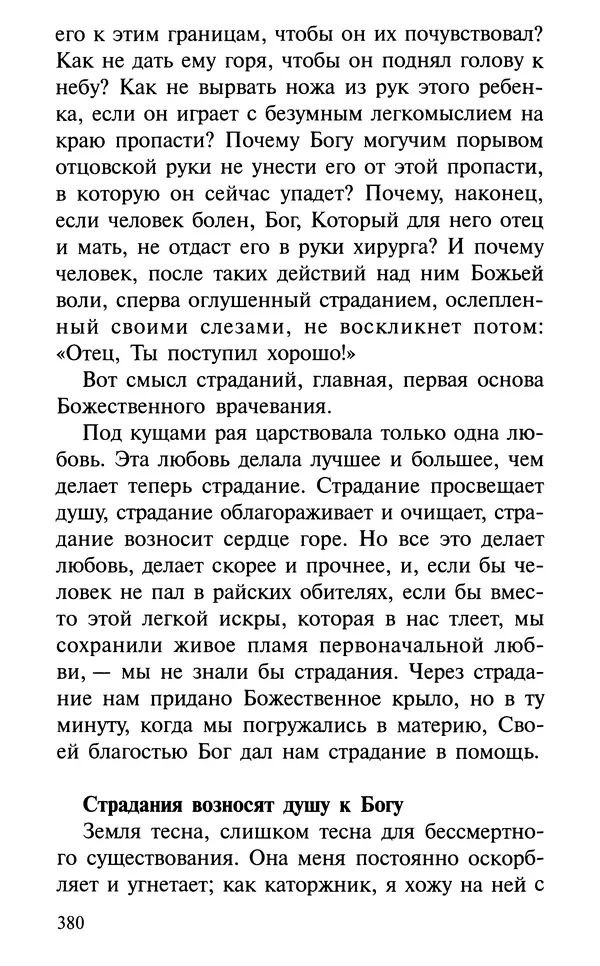 А. Фомин (Составитель) - О том, почему с нами происходят «случайные» события. Таинственное и непостижимое действие Промысла Божия в окружающем нас мире и в жизни каждого человека - Страница № 381