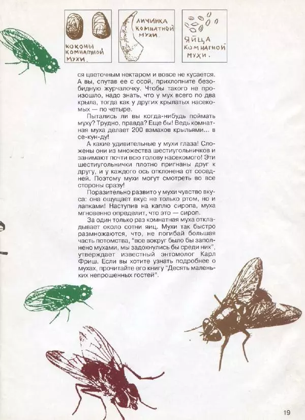  Журнал «Трамвай» - Трамвай 1994 № 01 - Страница № 21