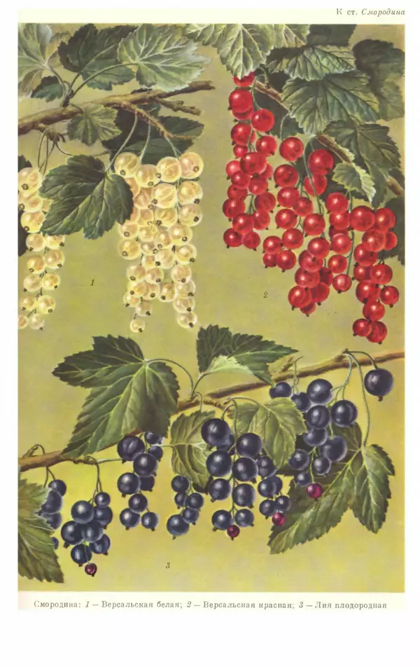 И. Пугачев - Товарный словарь. Том 8: Сверла - Ушаты молочные  - Страница № 137