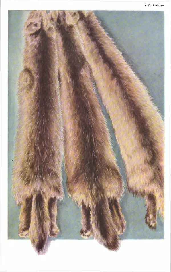 И. Пугачев - Товарный словарь. Том 8: Сверла - Ушаты молочные  - Страница № 146