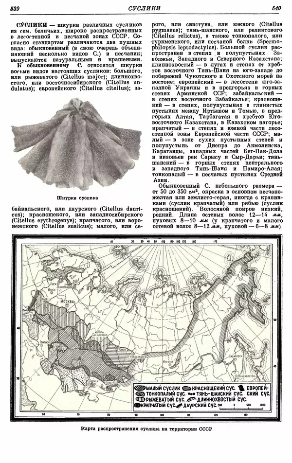 И. Пугачев - Товарный словарь. Том 8: Сверла - Ушаты молочные  - Страница № 281