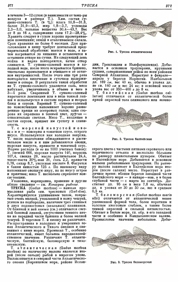 И. Пугачев - Товарный словарь. Том 8: Сверла - Ушаты молочные  - Страница № 506