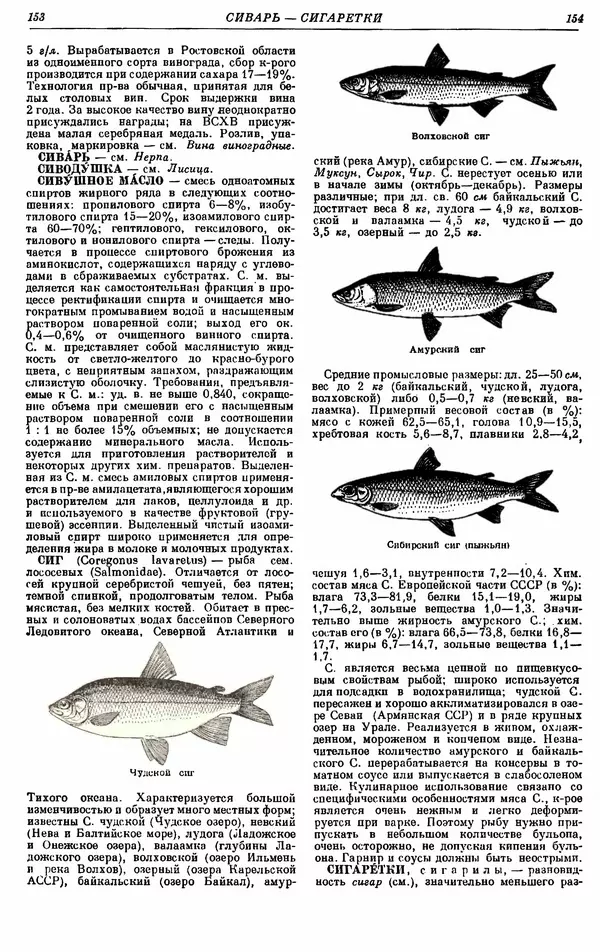 И. Пугачев - Товарный словарь. Том 8: Сверла - Ушаты молочные  - Страница № 83