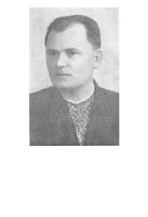 Алексей Палажченко - Зелений гомін - Страница № 2