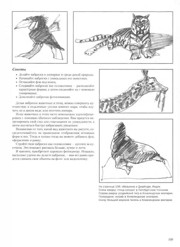 Дэвид Рэнкин - Техника быстрых набросков - Страница № 110