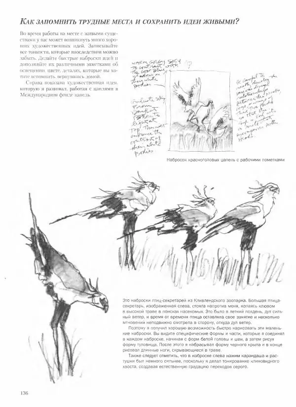 Дэвид Рэнкин - Техника быстрых набросков - Страница № 137