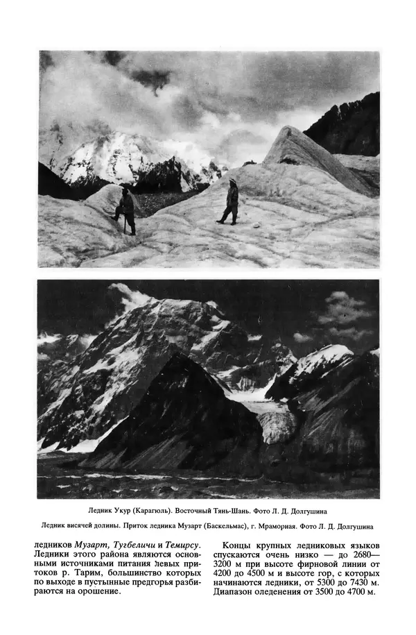 Леонид Долгушин - Ледники - Страница № 164