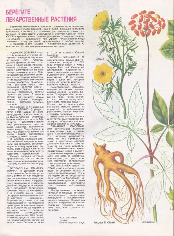  Журнал «Здоровье» - Здоровье 1985 №09 - Страница № 20