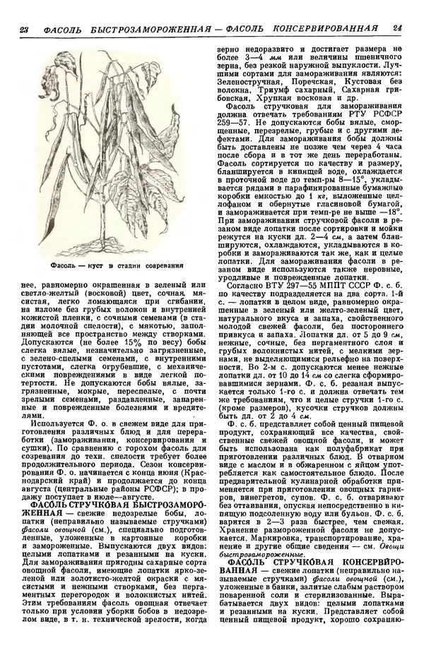 И. Пугачев - Товарный словарь. Том 9: Фагот - Ящичная тара и дополнительные статьи  - Страница № 17
