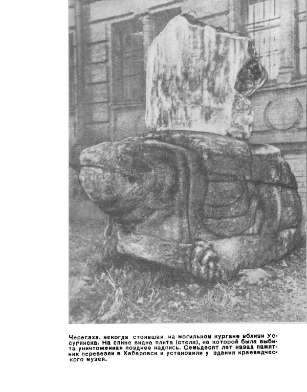 Виталий Ларичев - Тайна каменной черепахи - Страница № 131