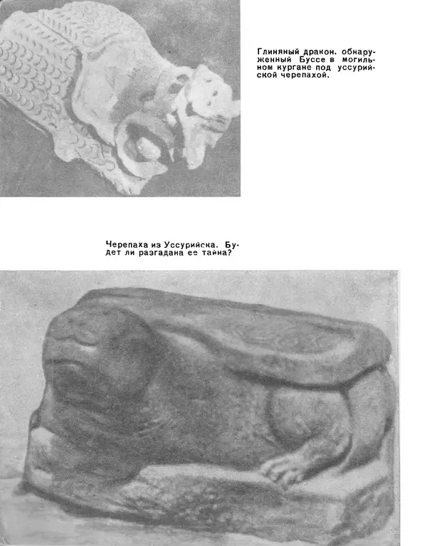 Виталий Ларичев - Тайна каменной черепахи - Страница № 138