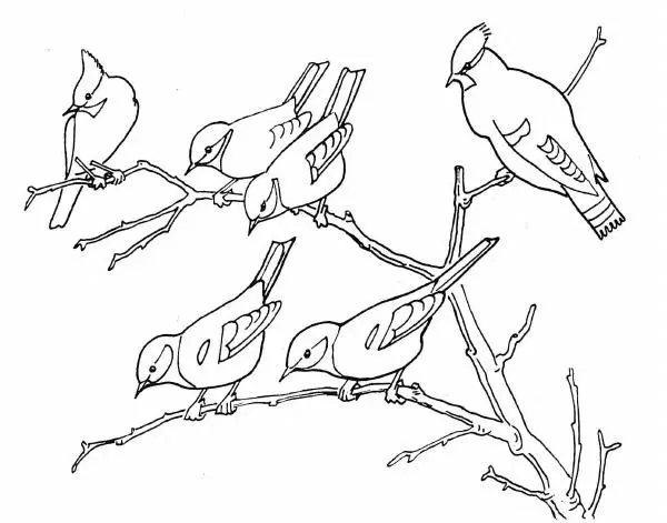 Александр Барков - Друзья детства - Страница № 7