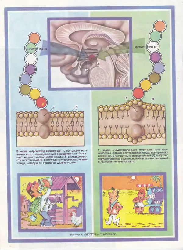  Журнал «Здоровье» - Здоровье 1985 №10 - Страница № 22