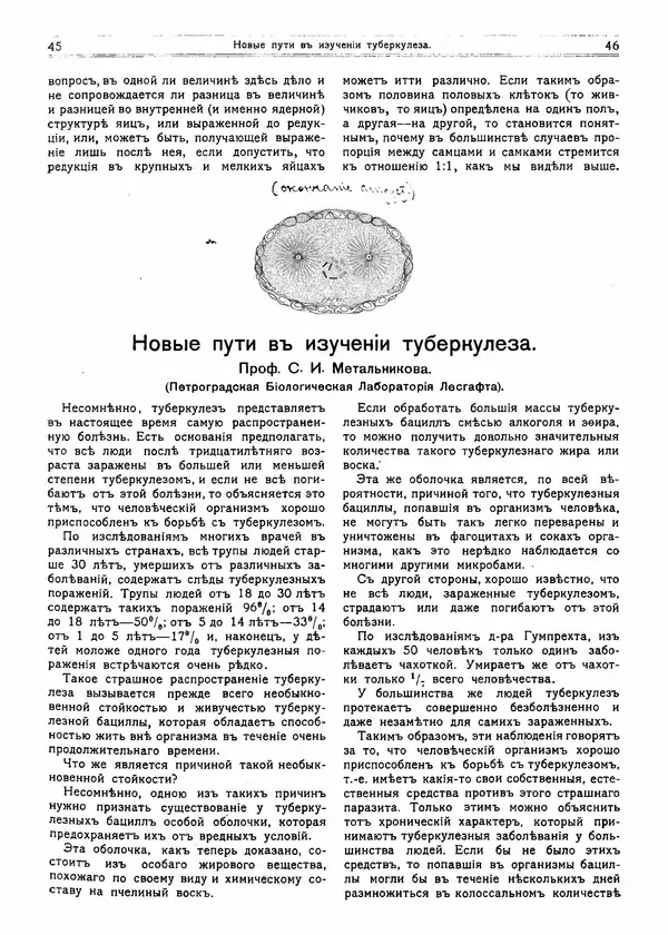  журнал «Природа» - Природа 1915 №1 - Страница № 26