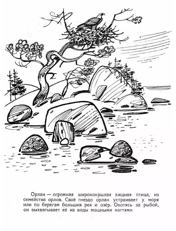 Тамара Соколовская - Рыболовы - Страница № 12