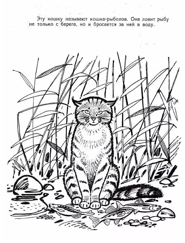 Тамара Соколовская - Рыболовы - Страница № 16