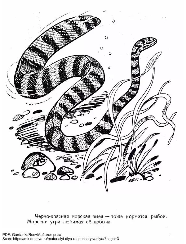 Тамара Соколовская - Рыболовы - Страница № 18