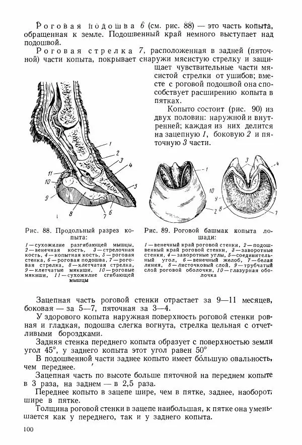 Абрам Шапиро - Учебник сельского кузнеца - Страница № 101
