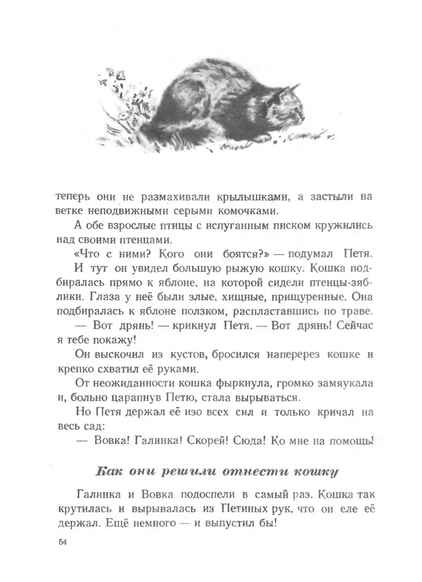 Софья Могилевская - Птица-синица - Страница № 54