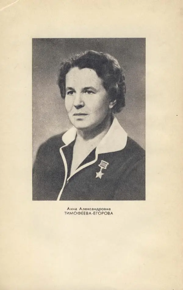 Анна Тимофеева-Егорова - Держись, сестренка! - Страница № 2