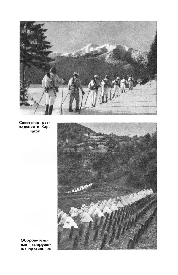 Петр Горчаков - Время тревог и побед - Страница № 178