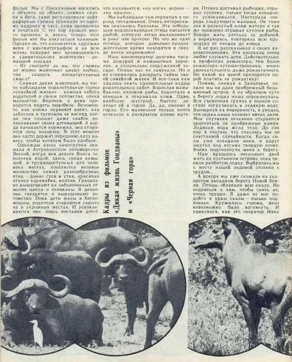  журнал «Семья и школа» - Семья и школа 1974 №04 - Страница № 48