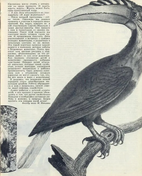  журнал «Семья и школа» - Семья и школа 1974 №04 - Страница № 49