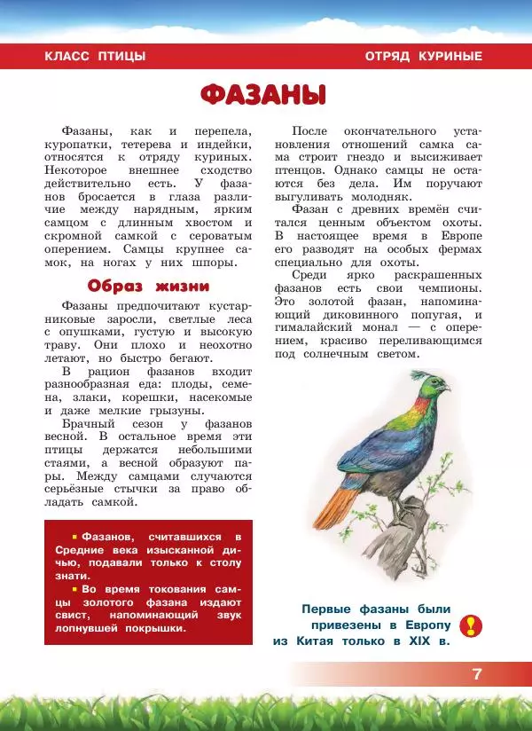 Сергей Рублев - Животные Азии - Страница № 8