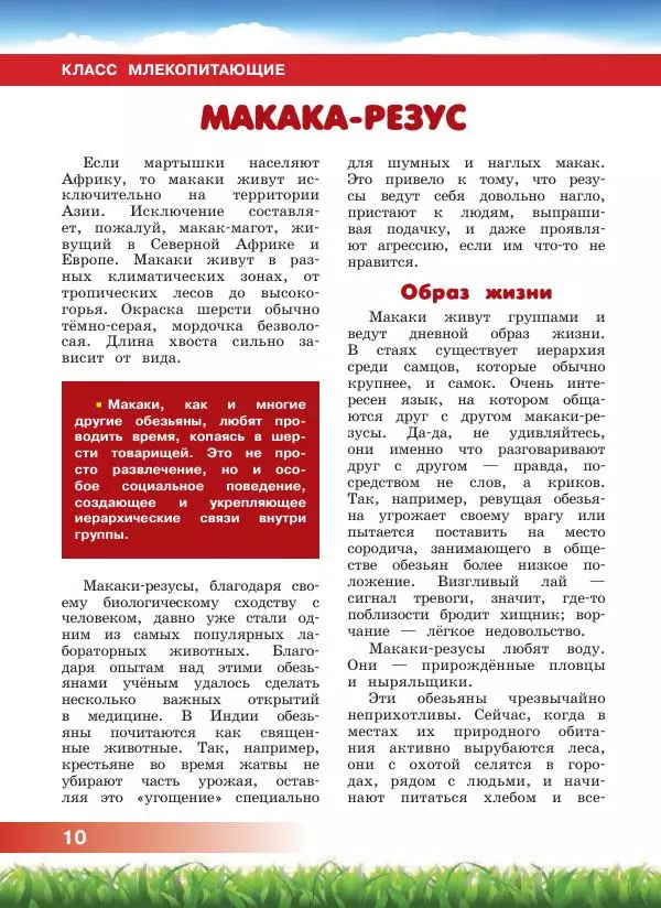 Сергей Рублев - Животные Азии - Страница № 11