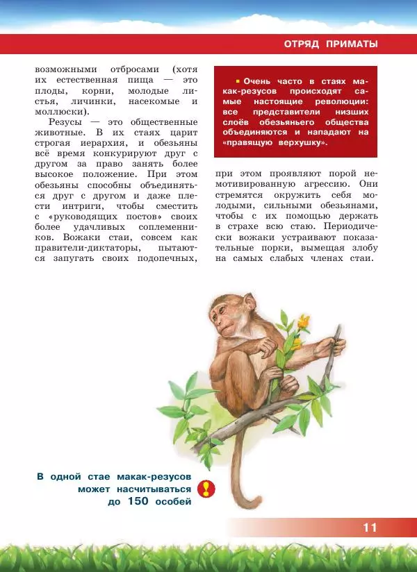 Сергей Рублев - Животные Азии - Страница № 12