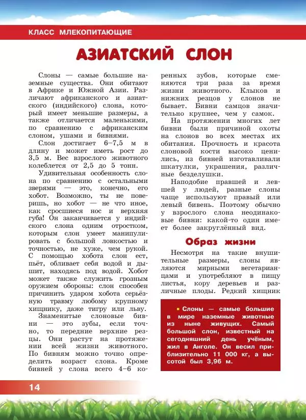 Сергей Рублев - Животные Азии - Страница № 15