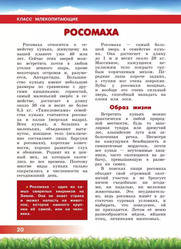 Сергей Рублев - Животные Азии - Страница № 21