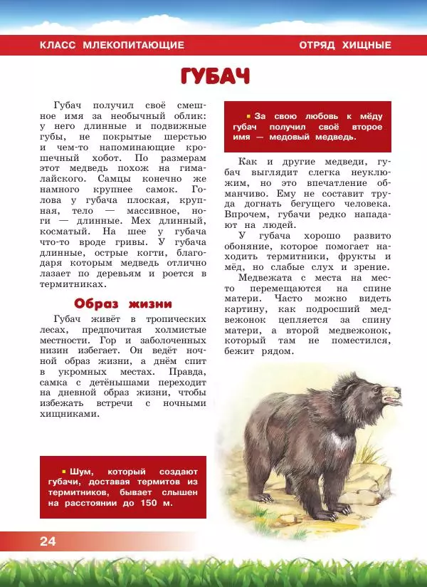 Сергей Рублев - Животные Азии - Страница № 25