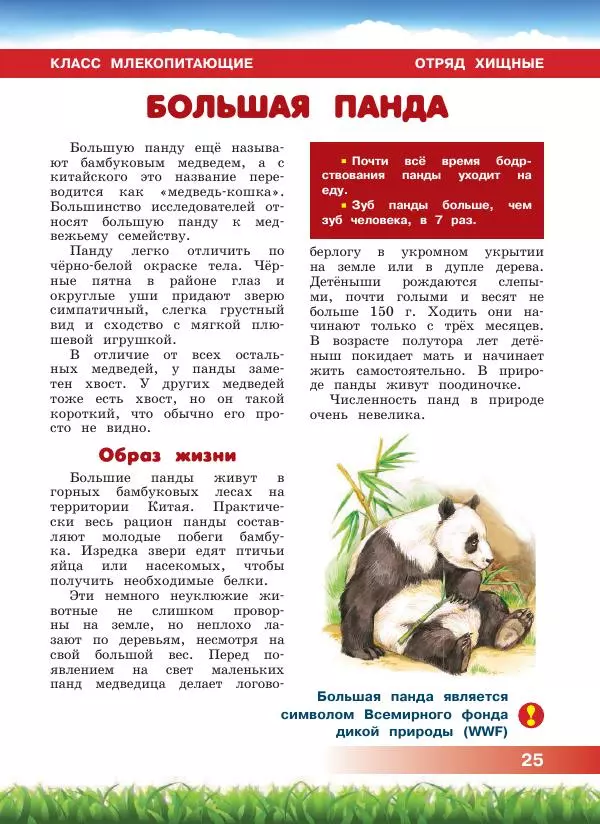 Сергей Рублев - Животные Азии - Страница № 26