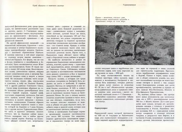  Коллектив авторов - Туркменистан - Страница № 119