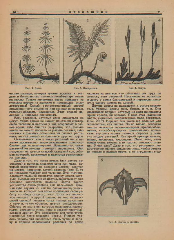  журнал Безбожник - Безбожник 1927 №01 - Страница № 7