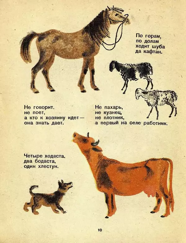 Роза Длугач - Загадки - Страница № 12