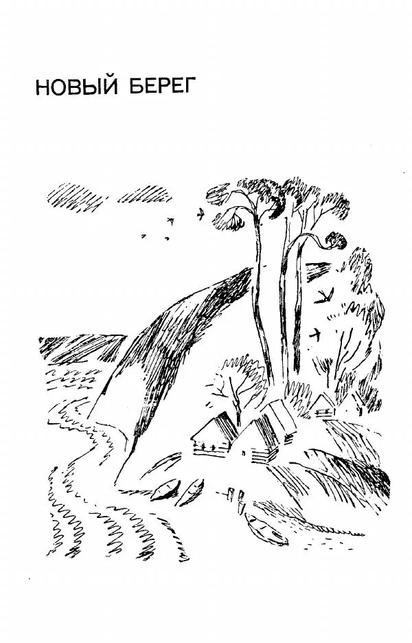 Александр Яшин - Добру откроется сердце - Страница № 257